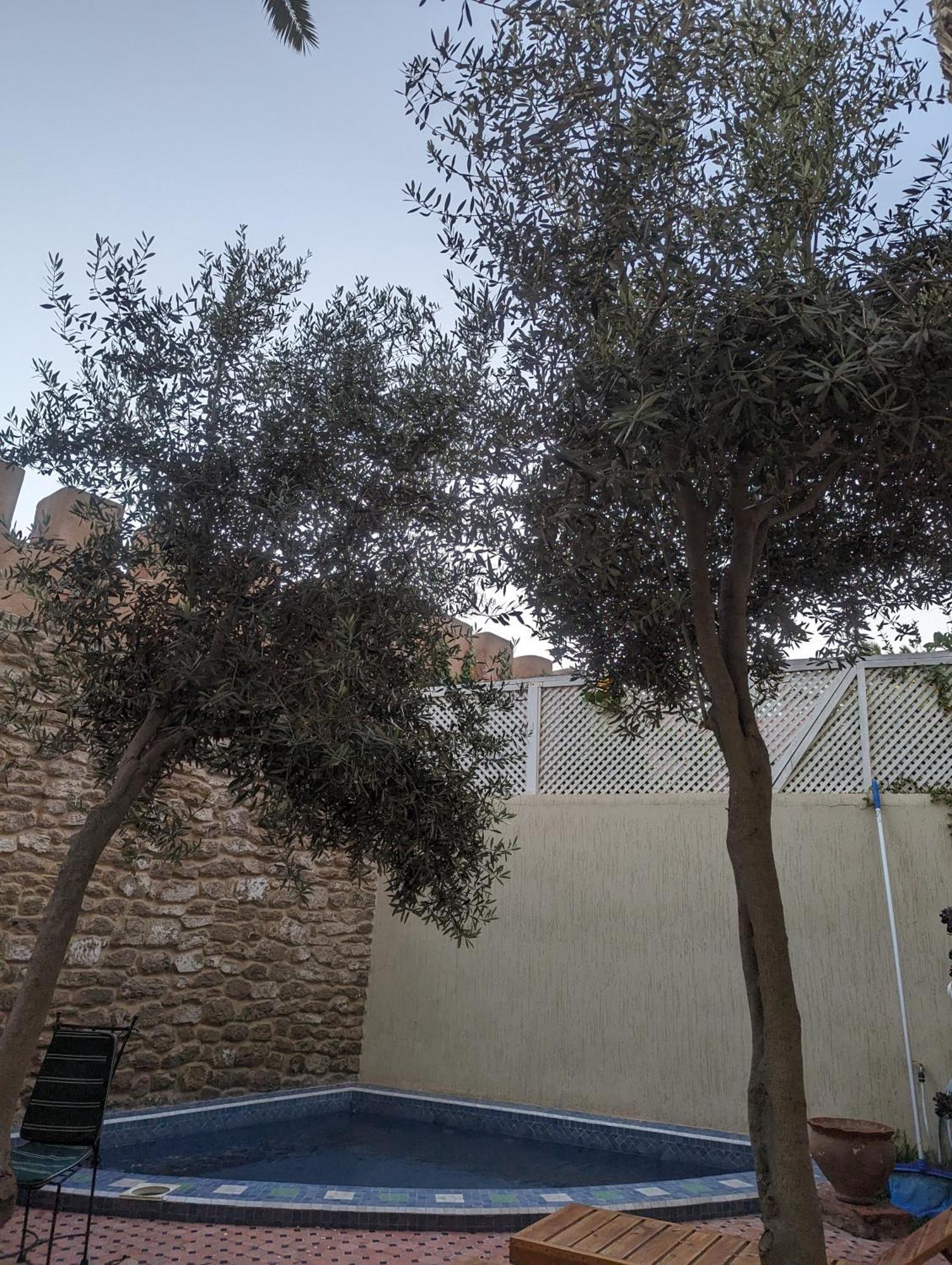 Aghata Palms Riad Essaouira Esterno foto