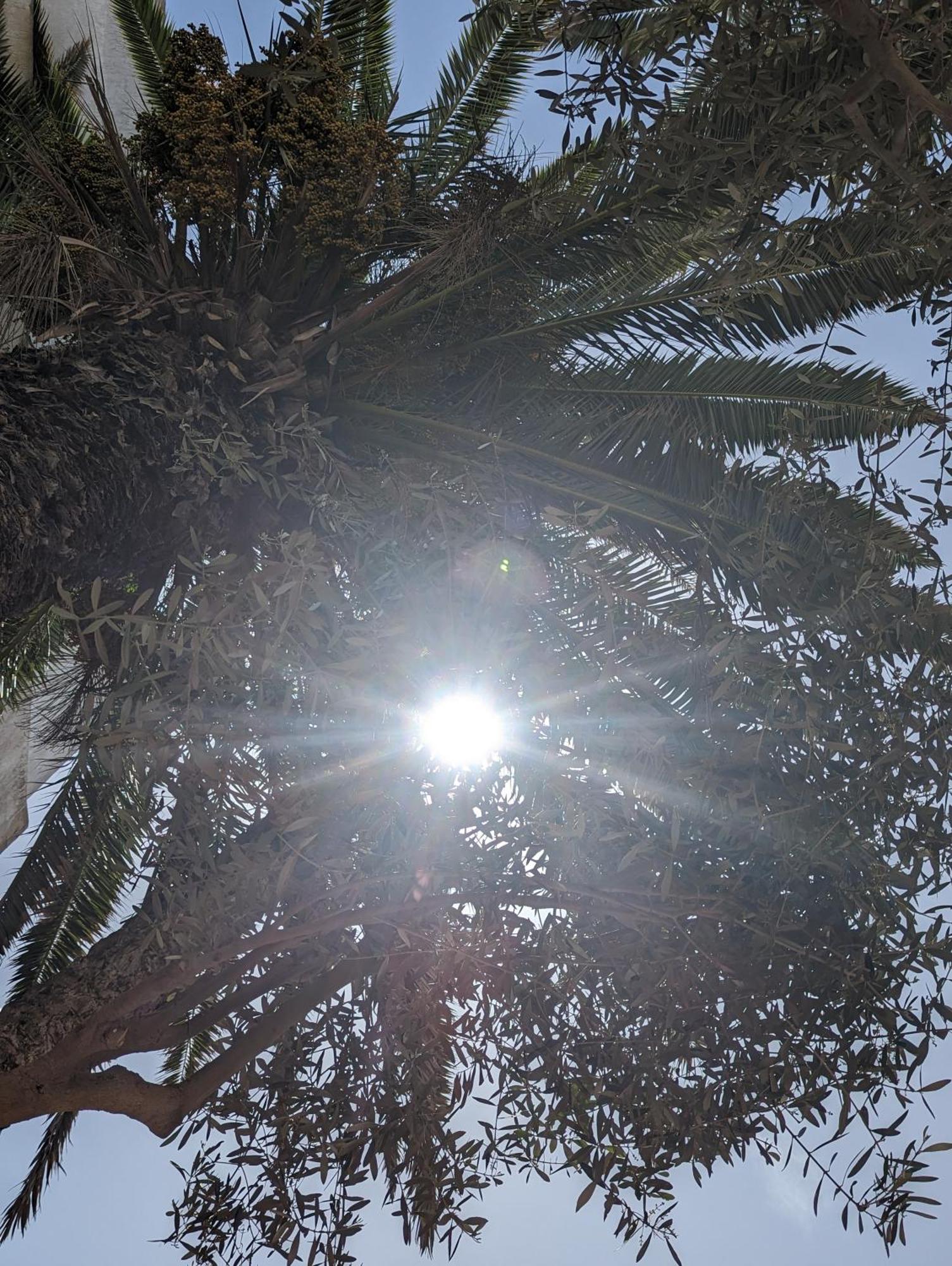 Aghata Palms Riad Essaouira Esterno foto
